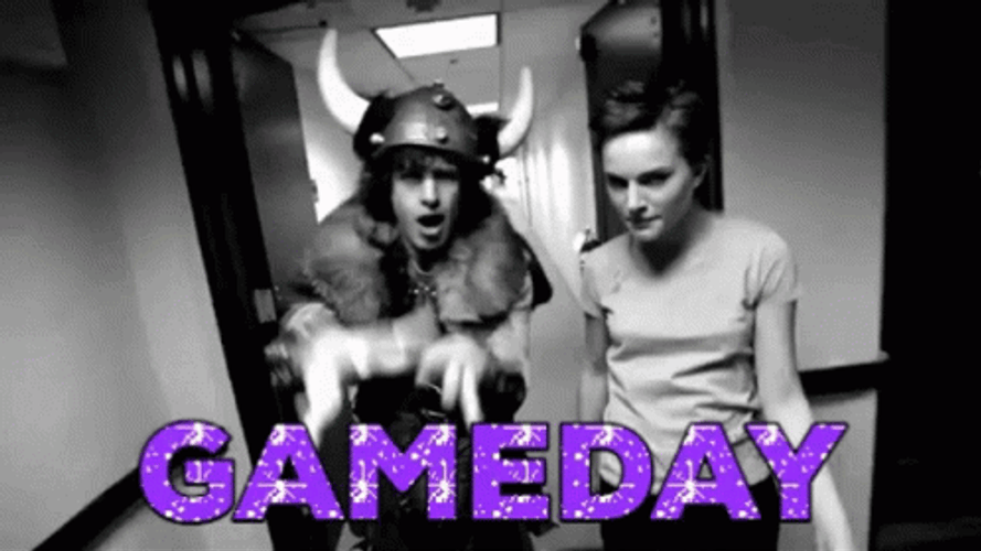 Vikings Costume Gameday GIF