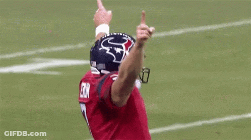 Vikings Football Player High-Fiving Crowd GIF