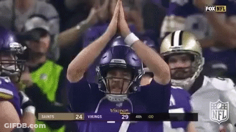 Vikings Football Player High Fiving Crowd GIF