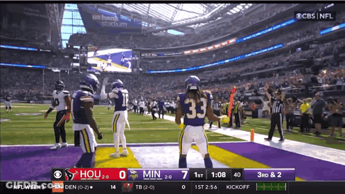 Vikings Vs Hous Football Game GIF