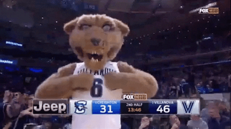 Villanova Mascot Will D Cat Flexing Muscle GIF