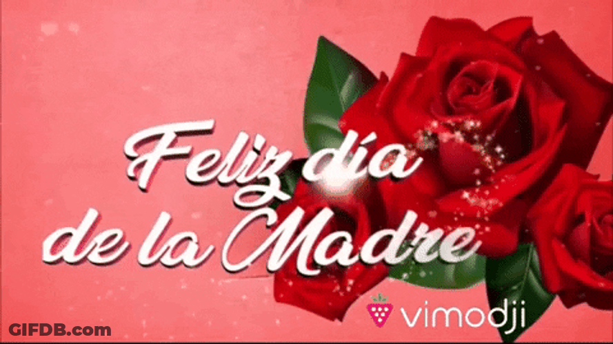 Vimodji Feliz Dia De La Madre GIF