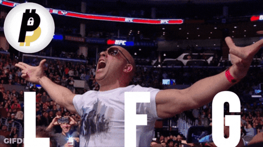 Vin Diesel BitPal Clapping Funny Meme GIF