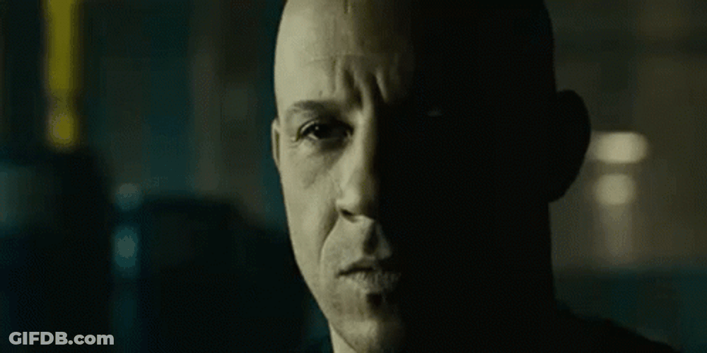 Vin Diesel Family Panda Meme GIF