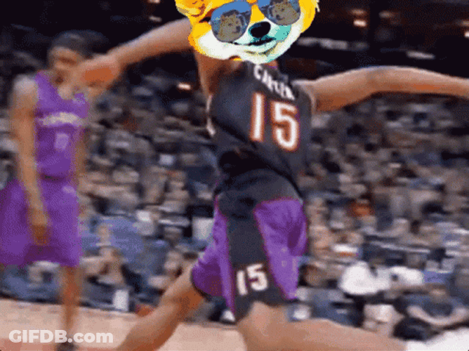 Vince Carter Dog Head GIF