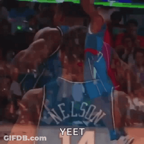 Vince Carter Yeet GIF