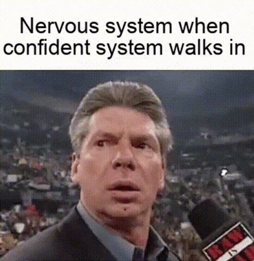 Vince Mcmahon Meme Nervous System Vs Confident System GIF