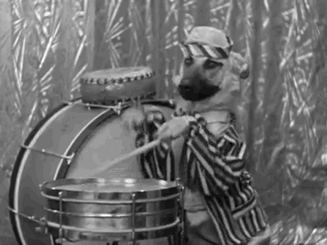 Vintage Dog Rimshot GIF