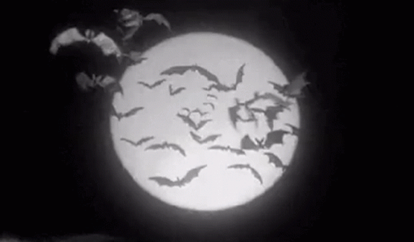 Vintage Halloween Moon Bats GIF