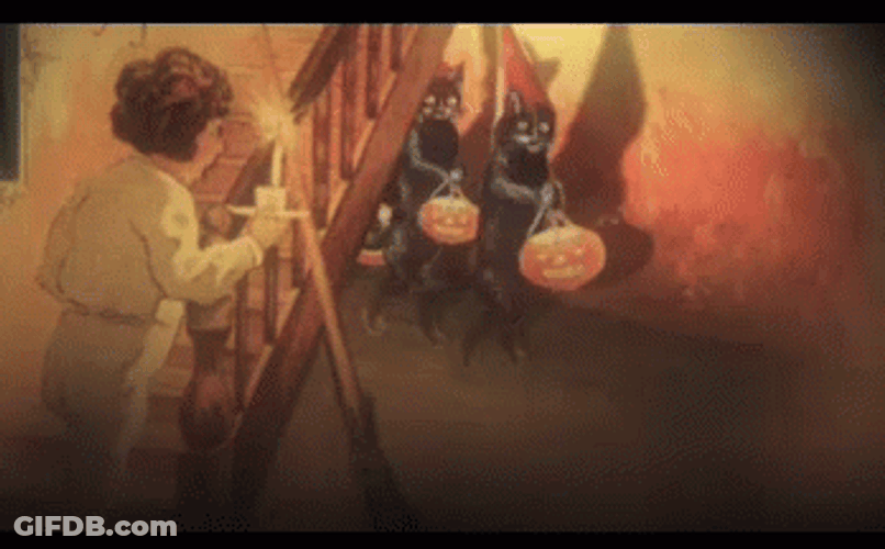Vintage Halloween Pumpkin Cat GIF