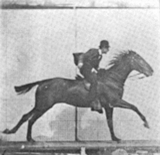 Vintage Horse Riding GIF