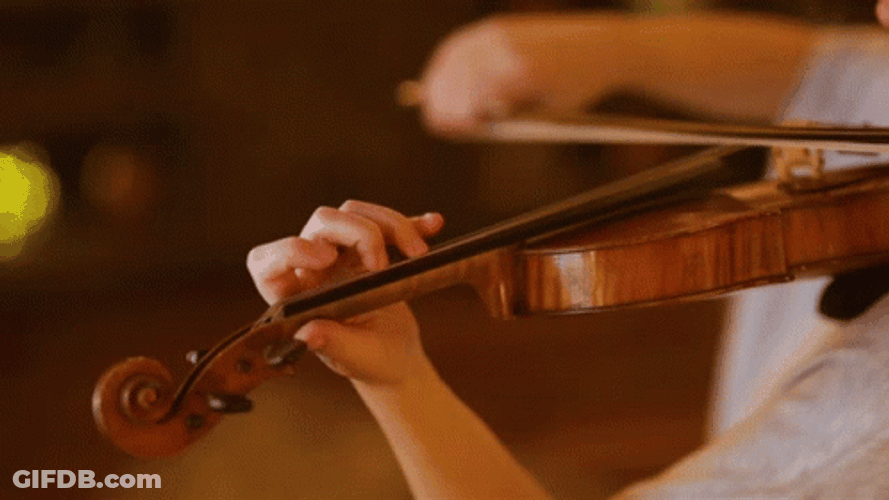 Violin Classy Performance GIF
