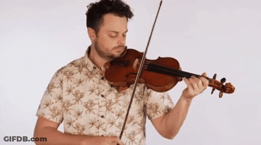 Violin Performance Rob Landes GIF