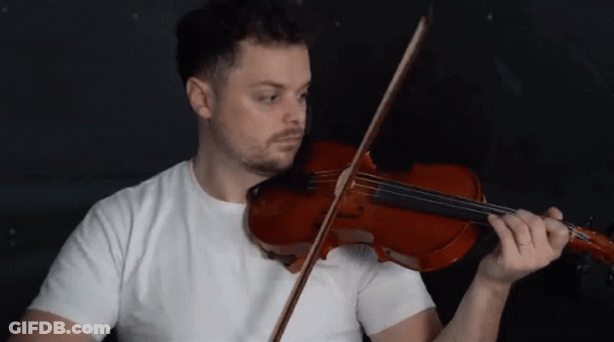Violin Rob Landes GIF