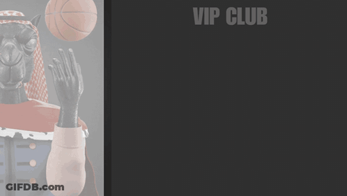 VIP Club Where Loyalty Pays Camel Holding Basketball GIF