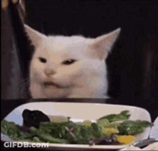 Viral Funny Smudge Cat Memes Dinner Table GIF