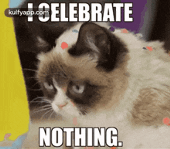 Viral Grumpy Cat Memes I Celebrate Nothing GIF