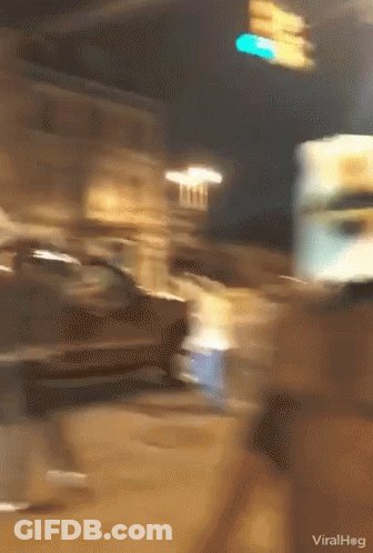 Viralhog Street Scene GIF