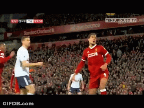 Virgil Van Dijk Erick Lamela GIF