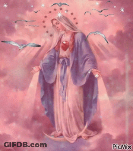 Virgin Mary Surrounded By Birds And Stars GIF
