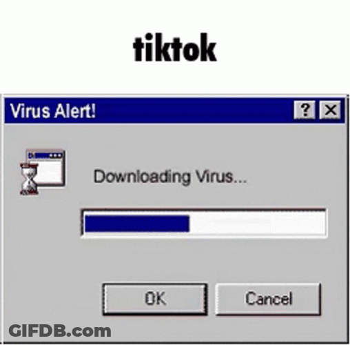 Virus Alert Downloading Tiktok GIF
