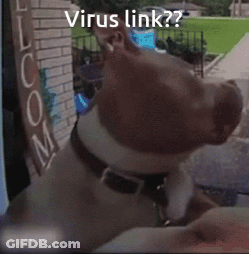Virus Link Confused Bulldog GIF