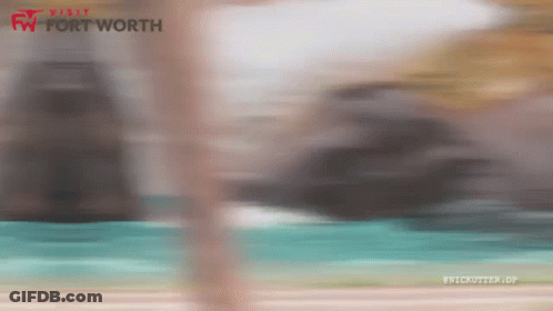 Visit Fort Worth GIF
