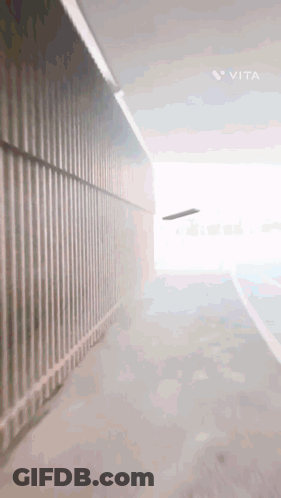 Vita GIF