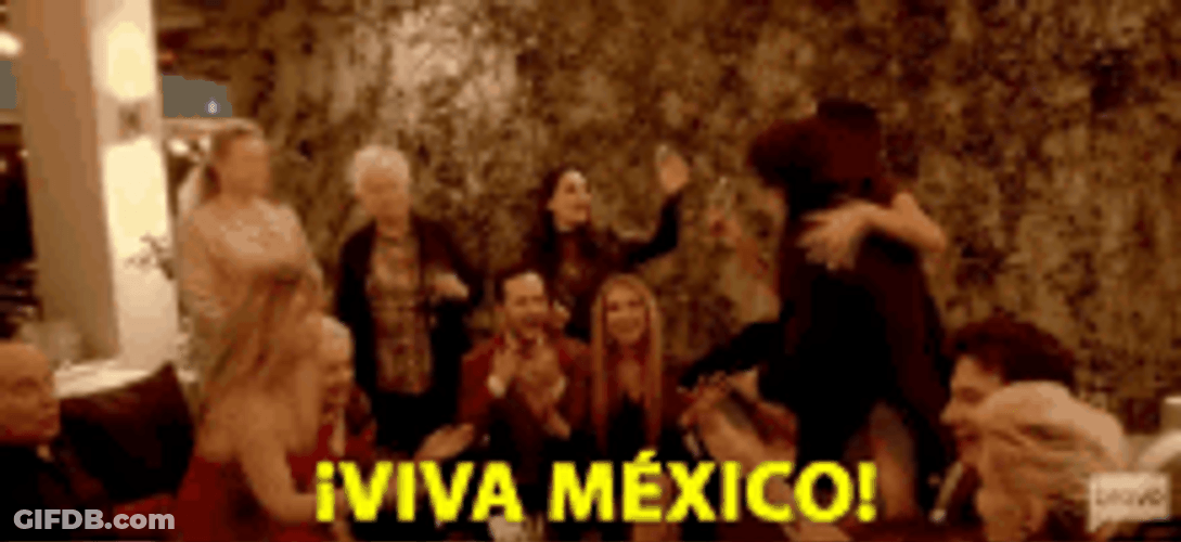 Viva Mexico Party Celebration GIF