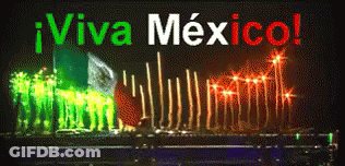 Viva Mexico Sign Lit Up At Night GIF