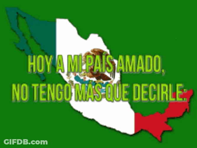 Viva Mexico Tequila And Tacos GIF