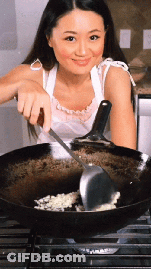 Vivian Aronson Fry Rice GIF