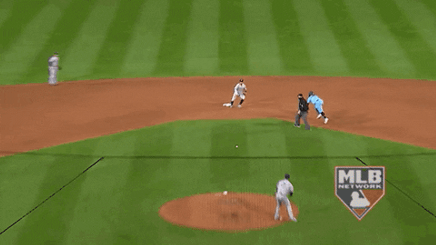 Vladimir Guerrero Jr. Safe GIF