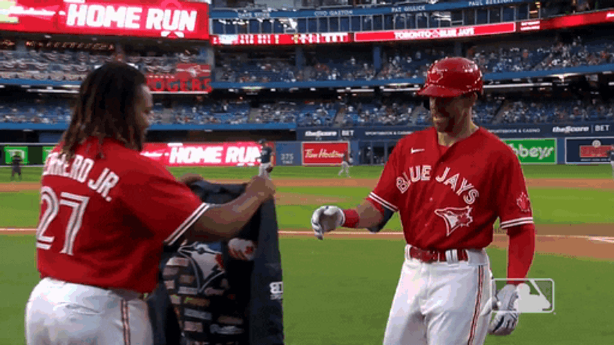 Vladimir Guerrero Jr. Support GIF