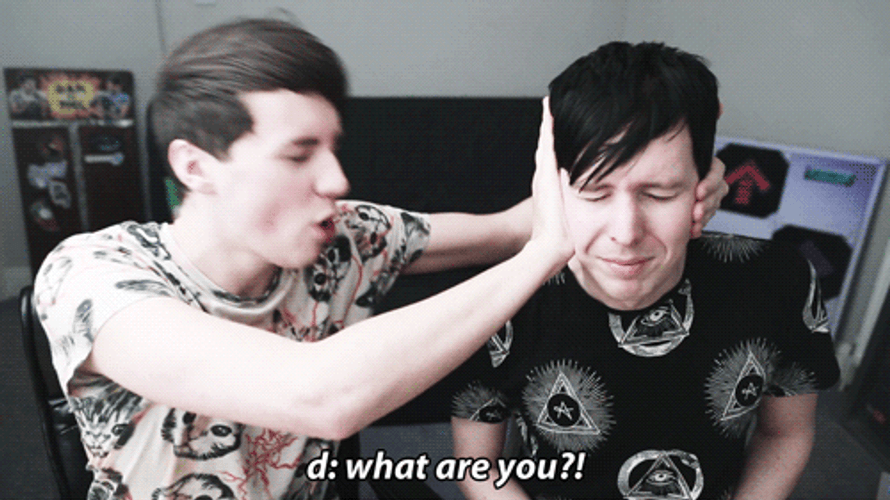 Vlogger Reminding He's An Idiot Sandwich GIF
