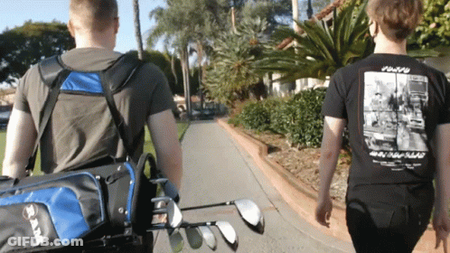 Voice Integrity Powers Group Logo With Crown GIF