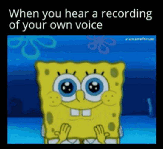 Voice Recording SpongBob Memes GIF