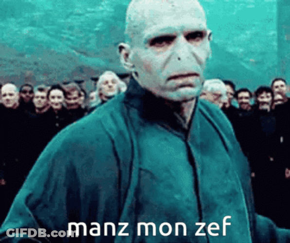Voldemort GIF