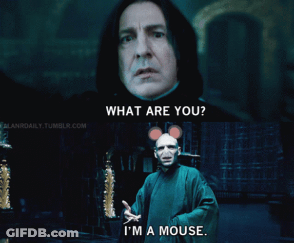 Voldemort Answer He Is A Mouse GIF