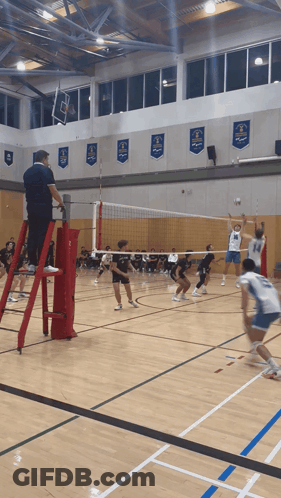 Volleyball Block GIF