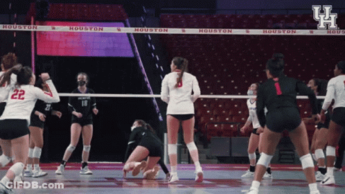 Volleyball Game In Houston Stadium GIF