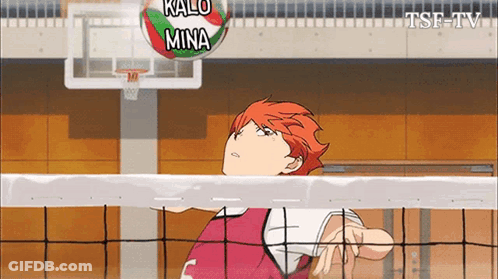 Volleyball Player Hitting Mina Ball GIF