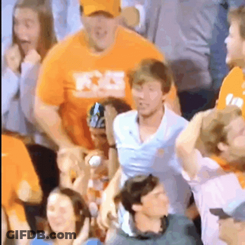 Vols Go GIF