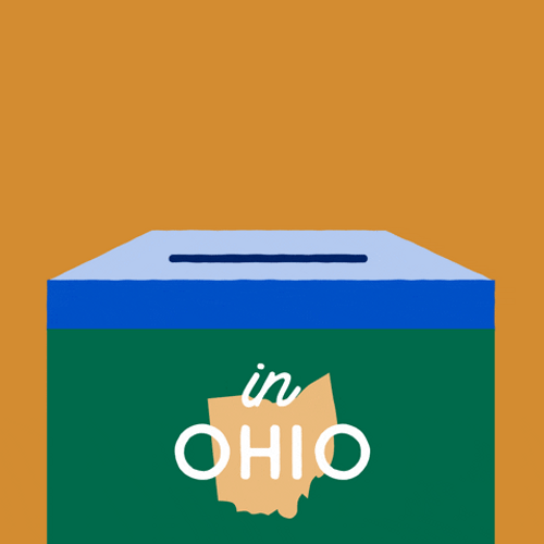 Vote Early Ohio Meme Voters GIF