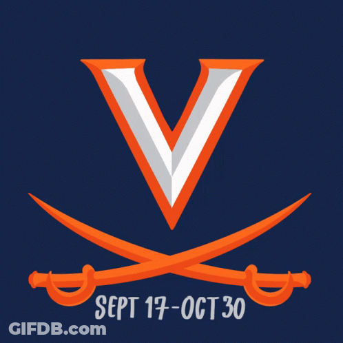 Vote Early With Swords Crossed GIF