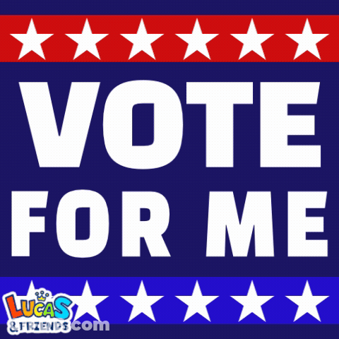 Vote For Me Sign With Stars GIF