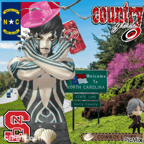 Vote For North Carolina Poster GIF