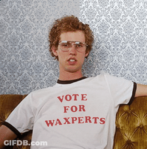 Vote For Pedro Waxperts Meme GIF