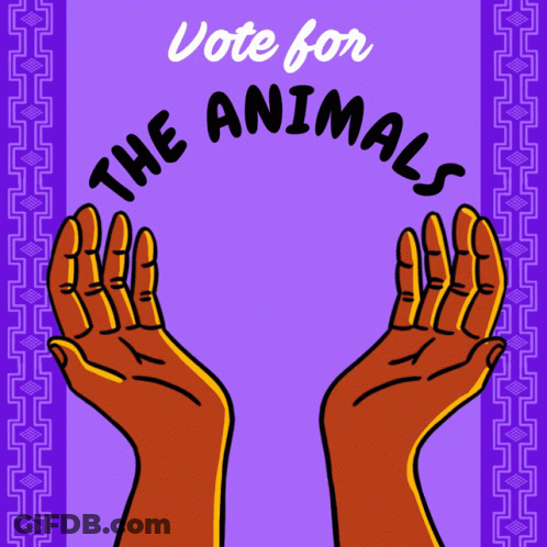 Vote For The Animals Poster With Bison GIF