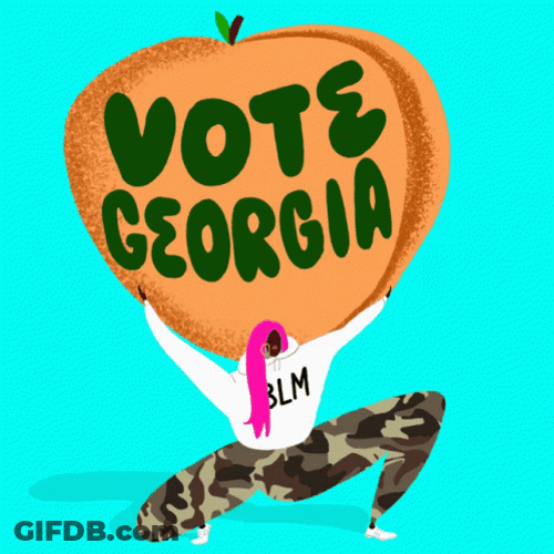 Vote Georgia Election GIF
